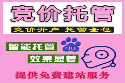 信息流广告公司案例分析：精准投放策略解析